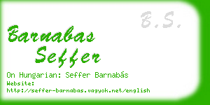 barnabas seffer business card